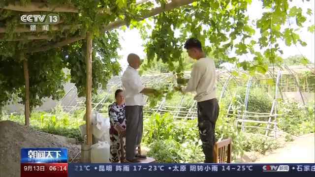 开展庭院改造 新疆叶城村民持续稳定增收