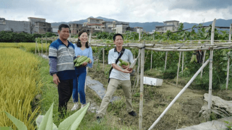 我在广东奔小康|中草药农业技术筑起小康生活