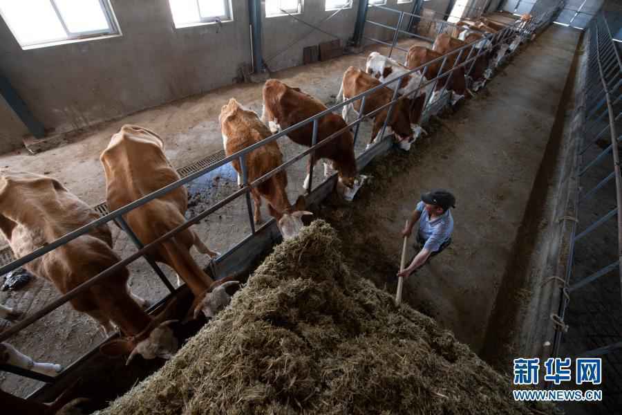 告别千年苦寒 共圆小康梦想——新疆万里边境上的脱贫纪实