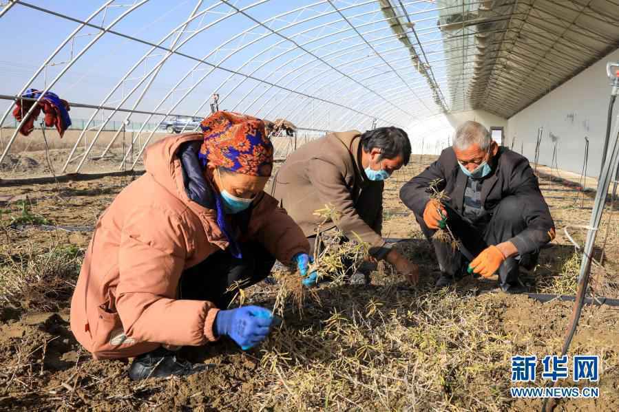 告别千年苦寒 共圆小康梦想——新疆万里边境上的脱贫纪实