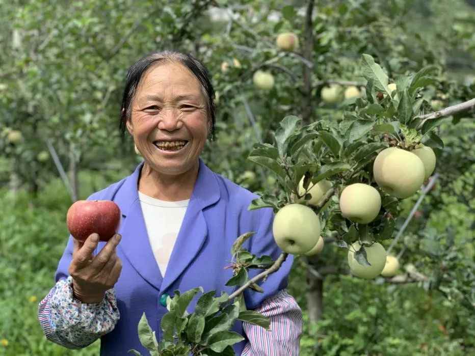 脱贫攻坚丨香港90后进山造了个“花花世界” 芳香满乌蒙