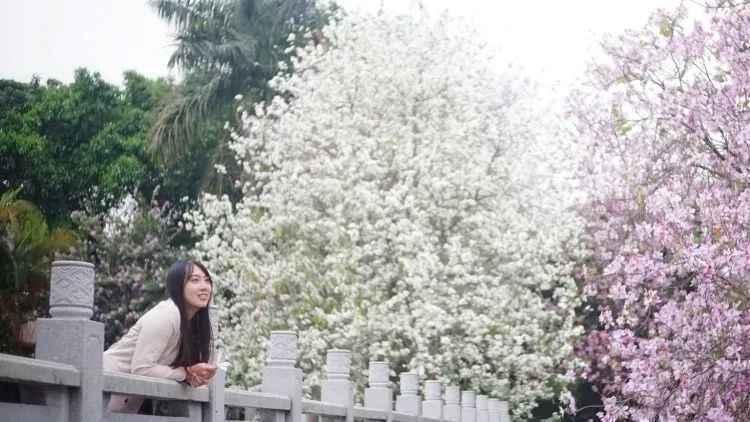 6.95亿元“大红包”派发!有你学校吗?