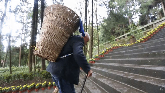 86年,无名墓碑,无私守护……