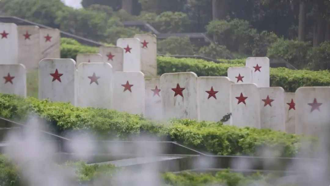 86年,无名墓碑,无私守护……