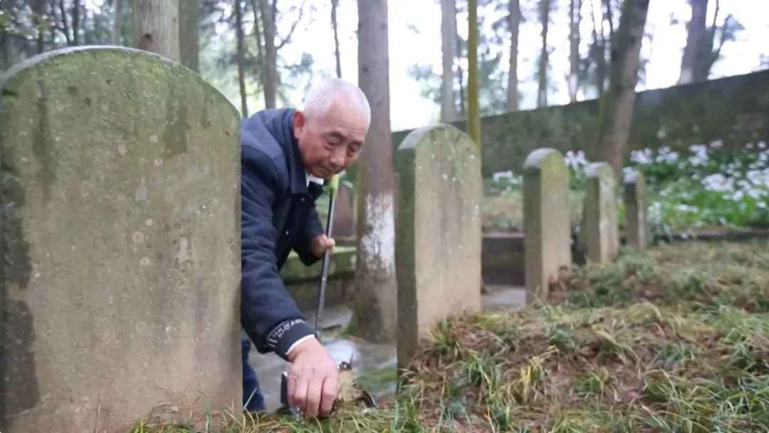 86年,无名墓碑,无私守护……