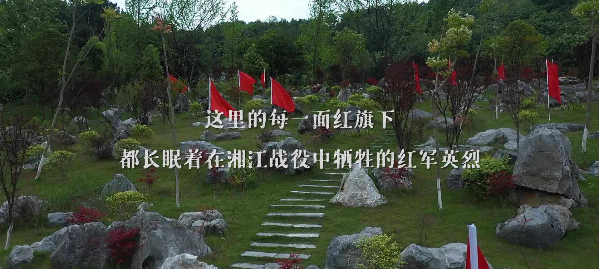 时政微纪录丨赤胆铸忠魂——总书记这样回望湘江战役