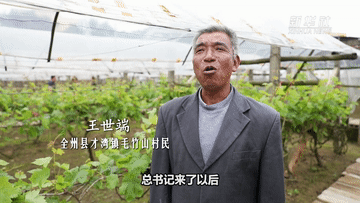 微视频｜深情系八桂