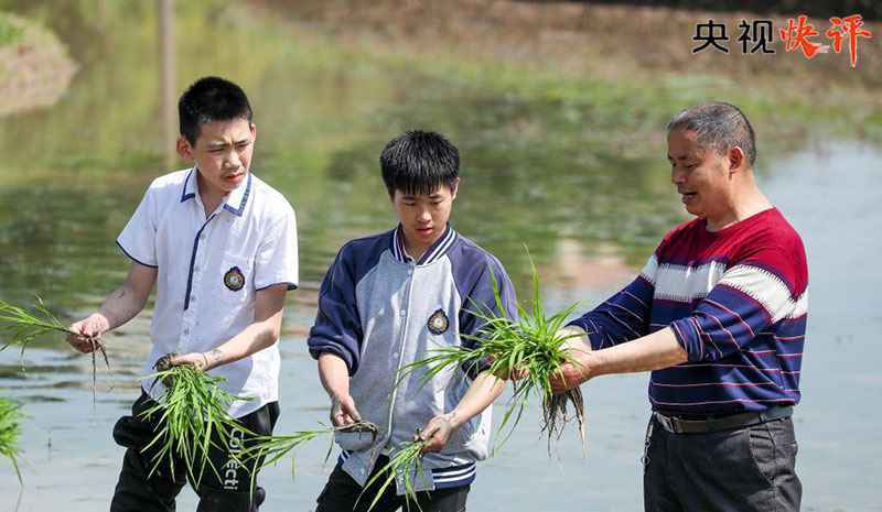 【央视快评】劳动创造幸福 实干成就伟业