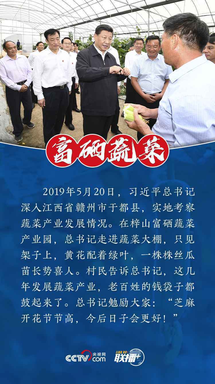 联播+｜这些富民产业吸引了总书记目光